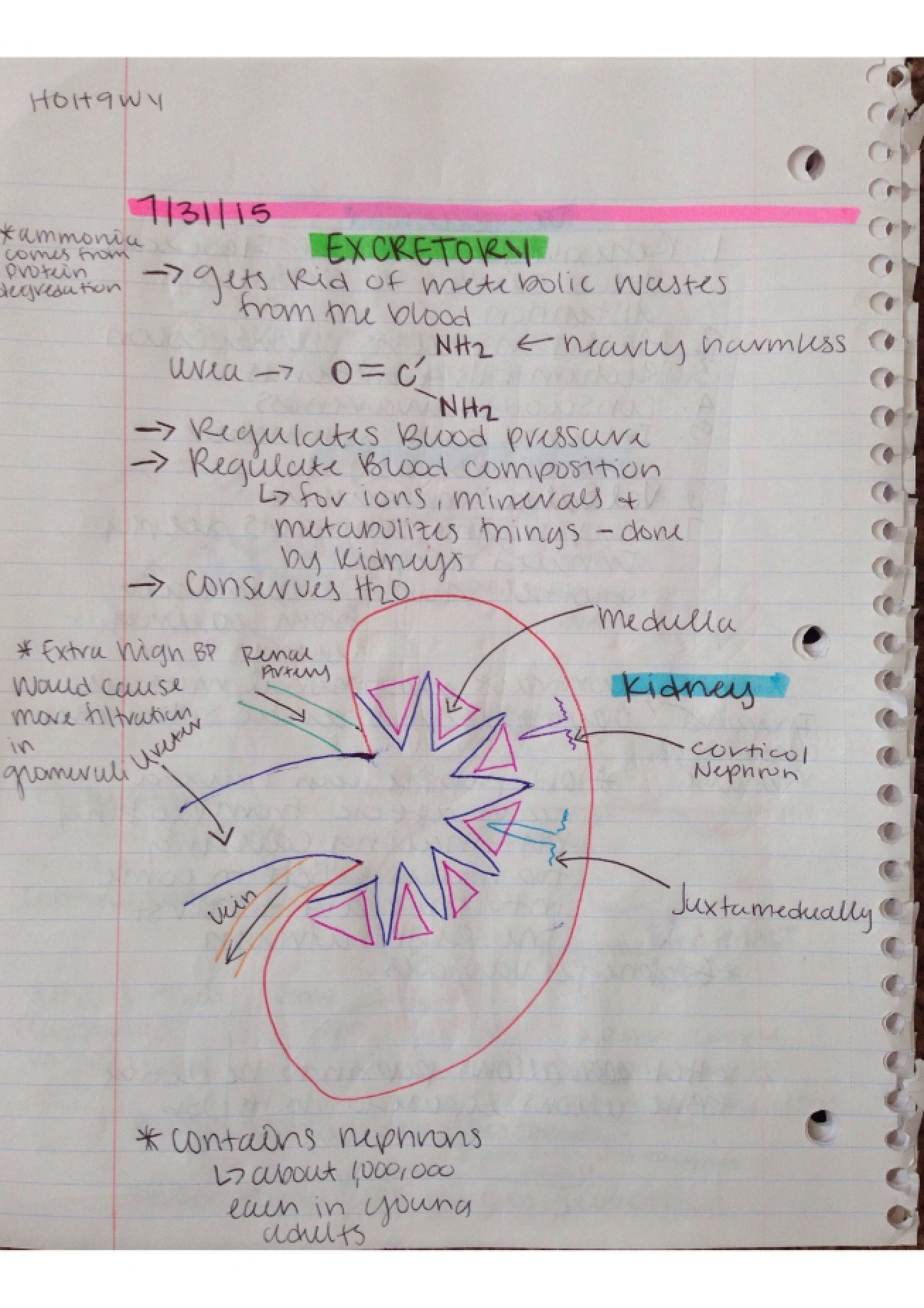 Notes (2)