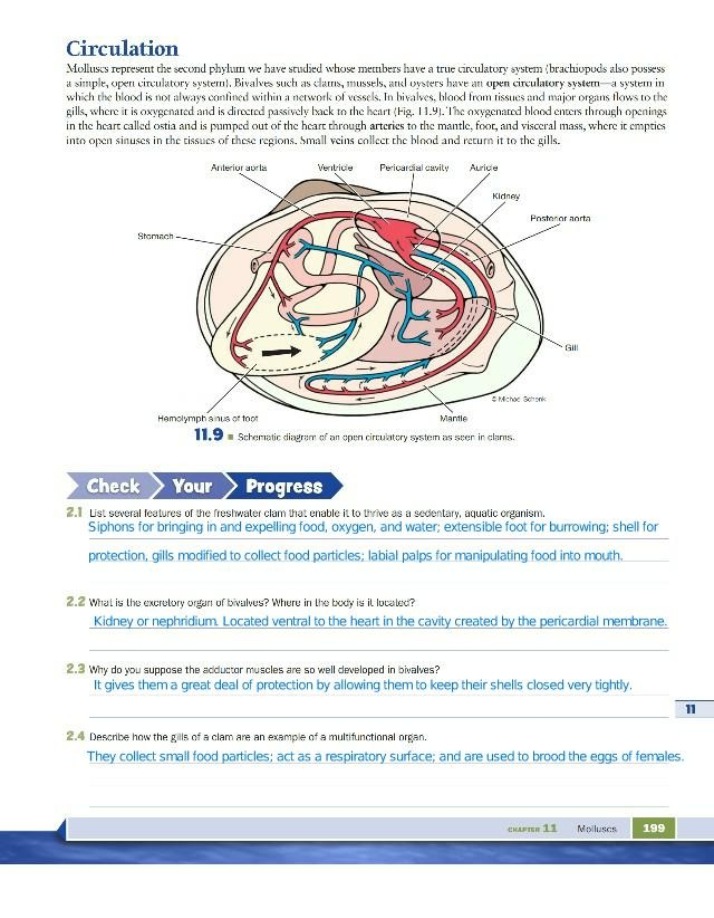 Zoology Laboratory Guide
