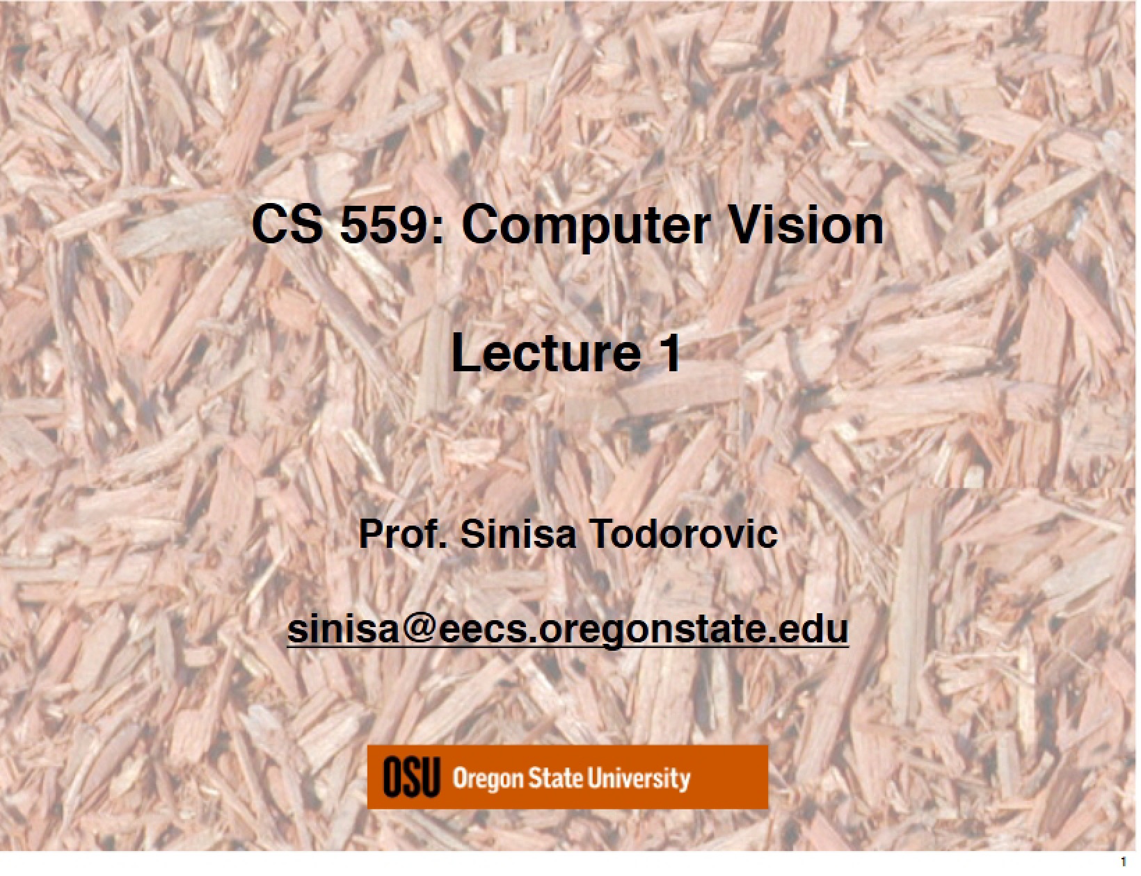 Computer Vision Overview (CS 559)