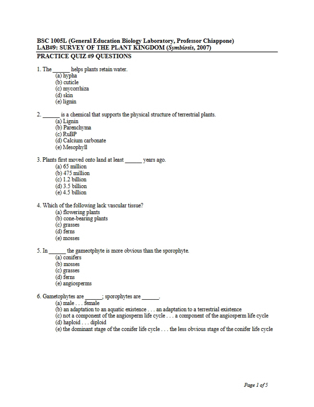 Nine Question Practice Quiz