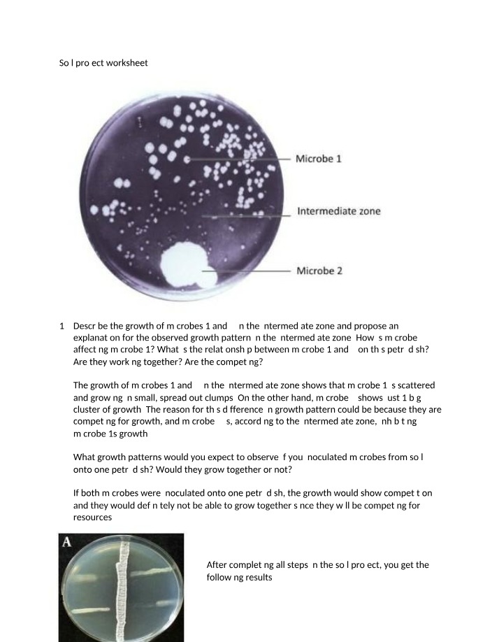 Worksheet for Soil Project