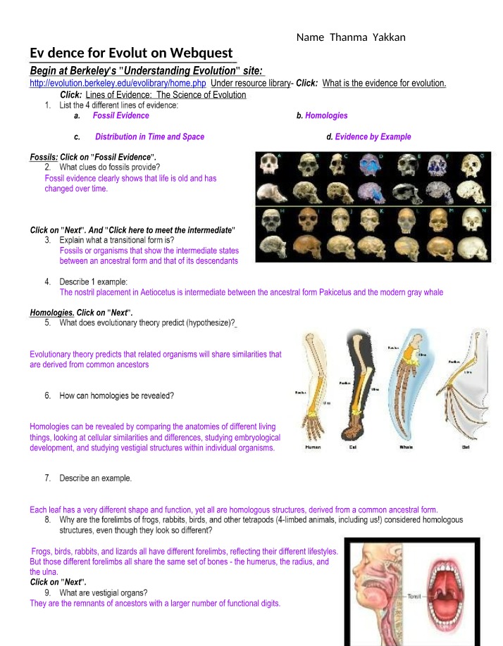 WebQuest - Evidence for Evolution