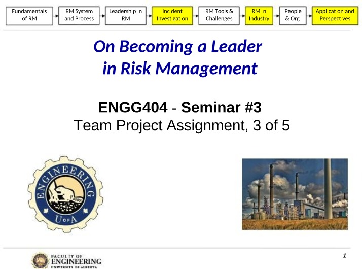 Risk Management Leadership - A Team Project Assignment