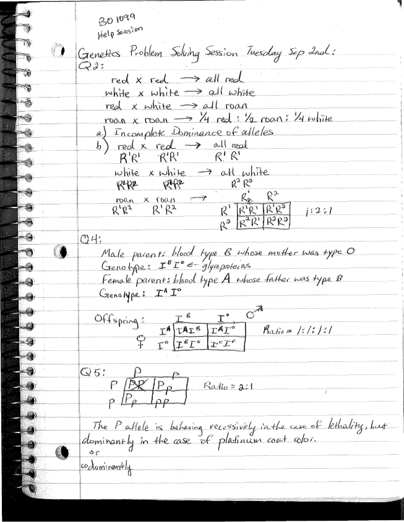 Course Notes Molecular Genetics