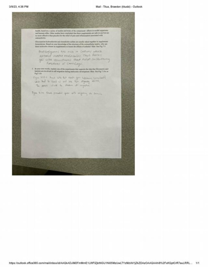 Lecture 17 Part 2