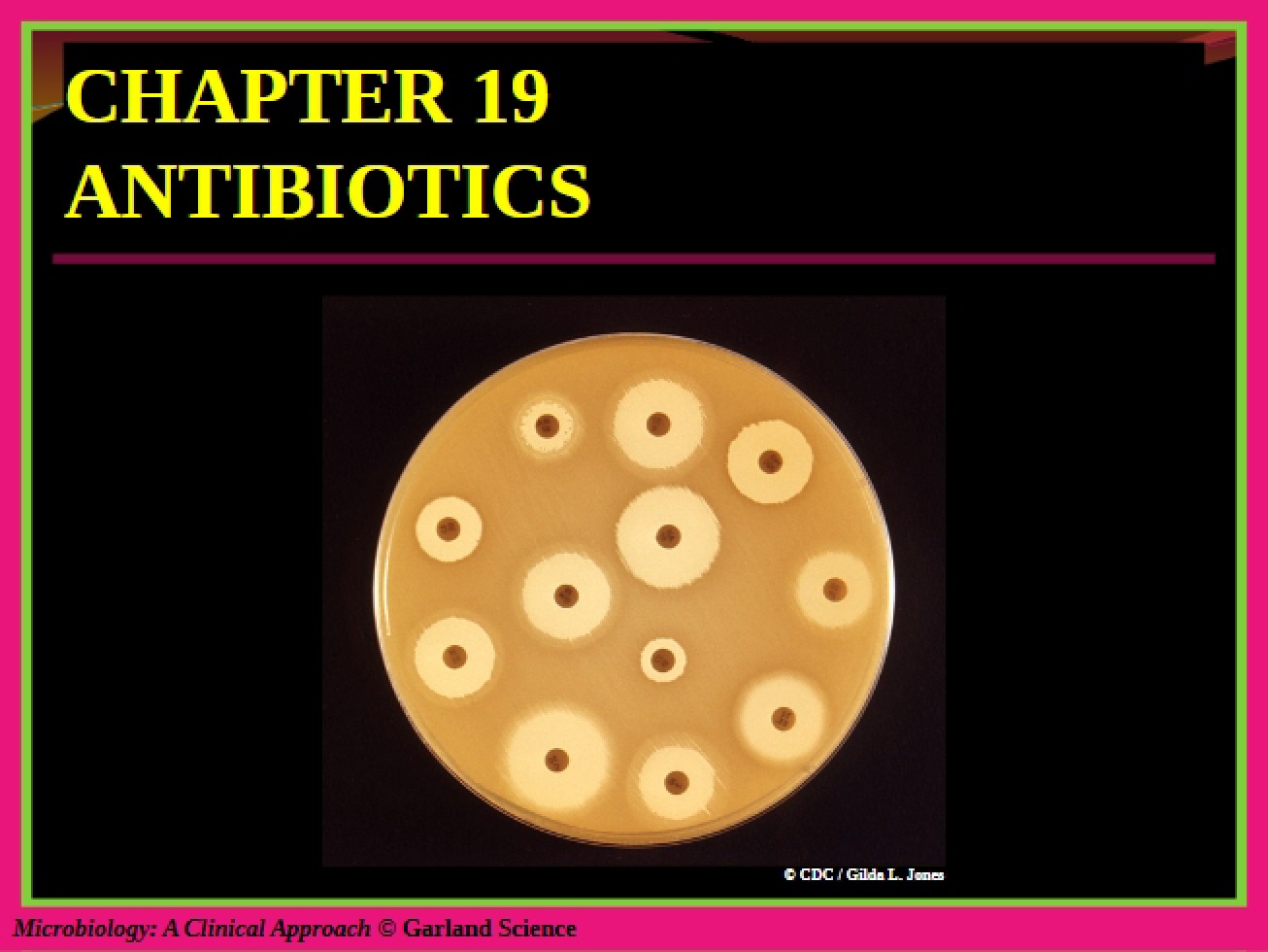 Introduction to the Use of Antibiotics