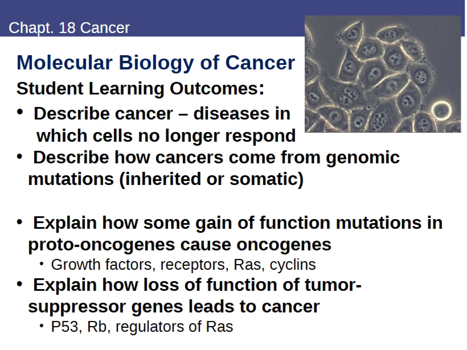 Biomedical Biochemistry Lecture Notes - 24 Pages