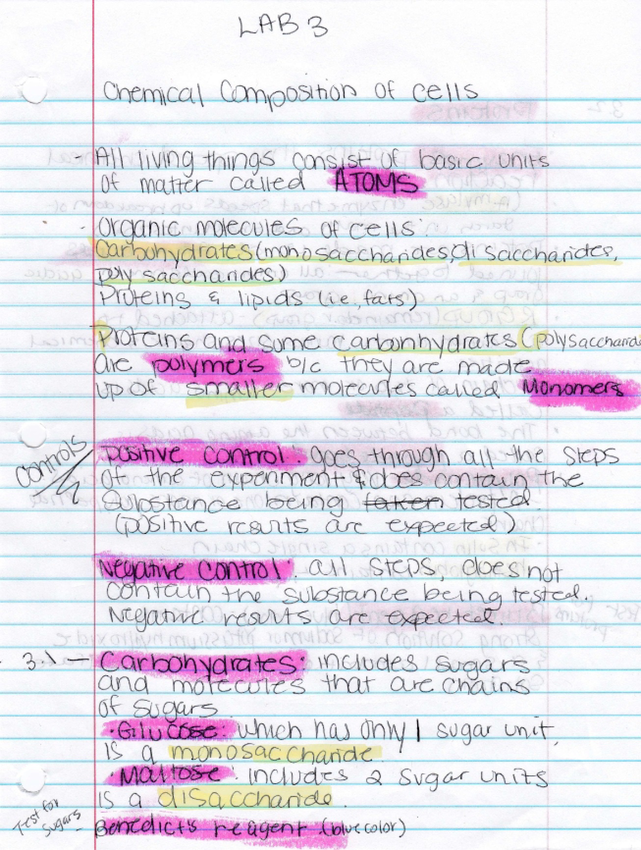 Third Lab for Cell Biology and Genetics