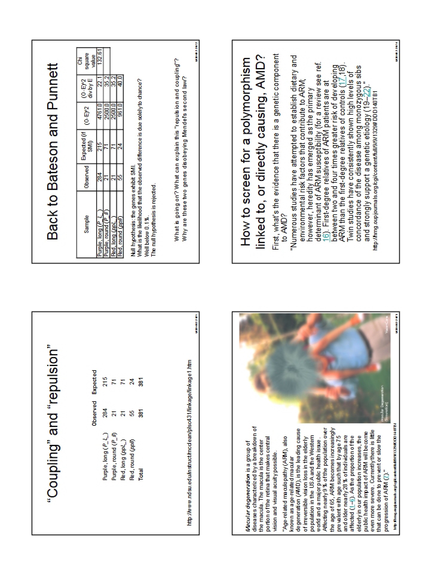 Notes from Lecture (3)