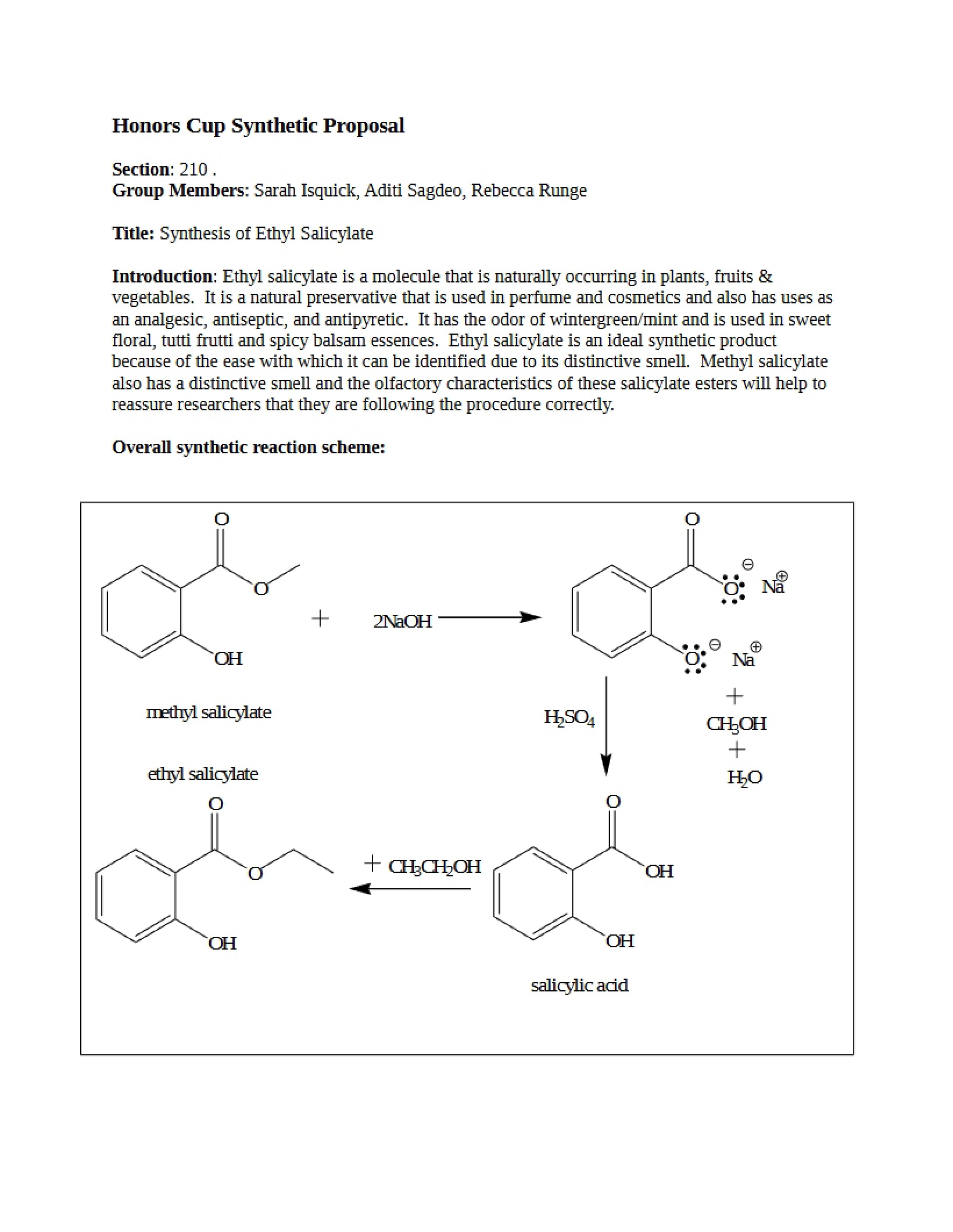 Synthetic Proposal for Honors Cup - Synth Org