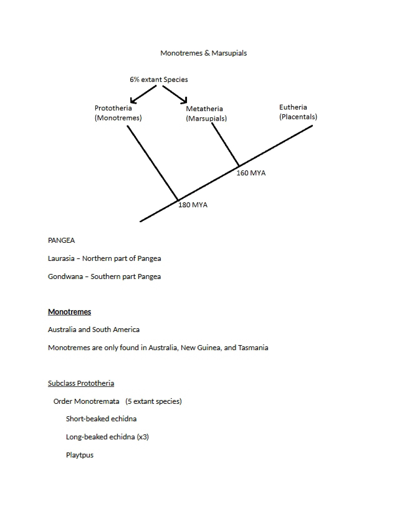 Marsupials and Monotremes