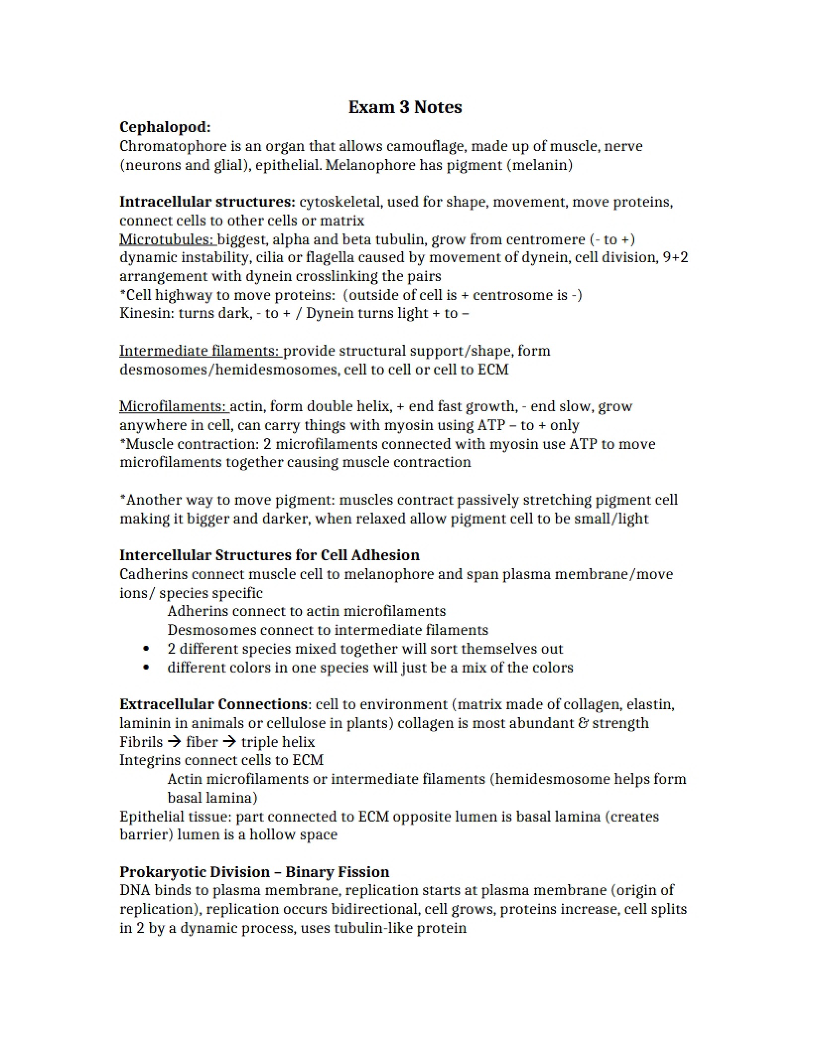 Third Examination