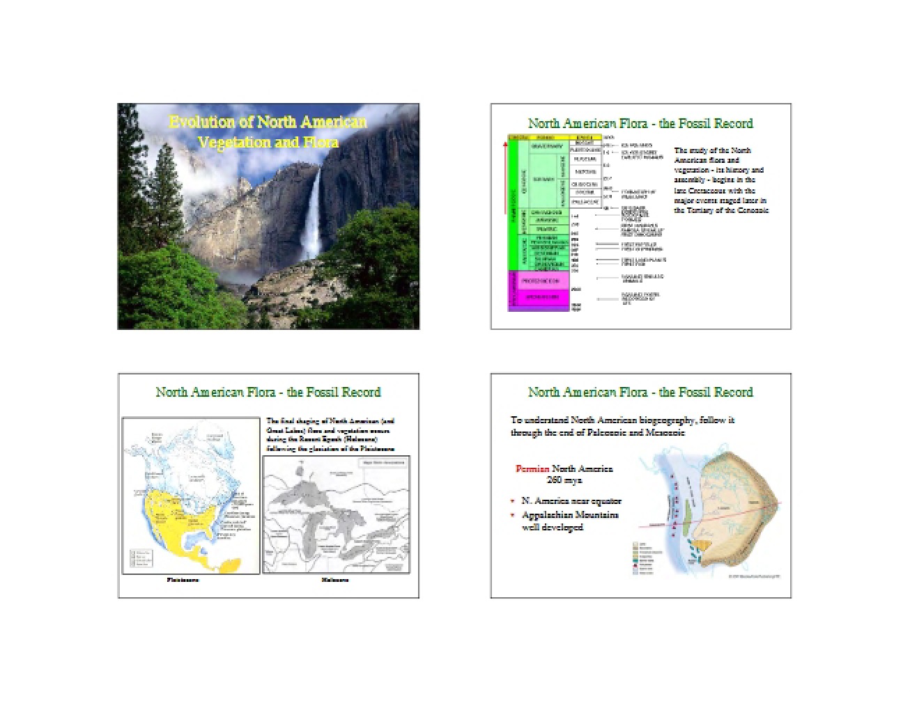 North American Flora and Vegetation Evolution