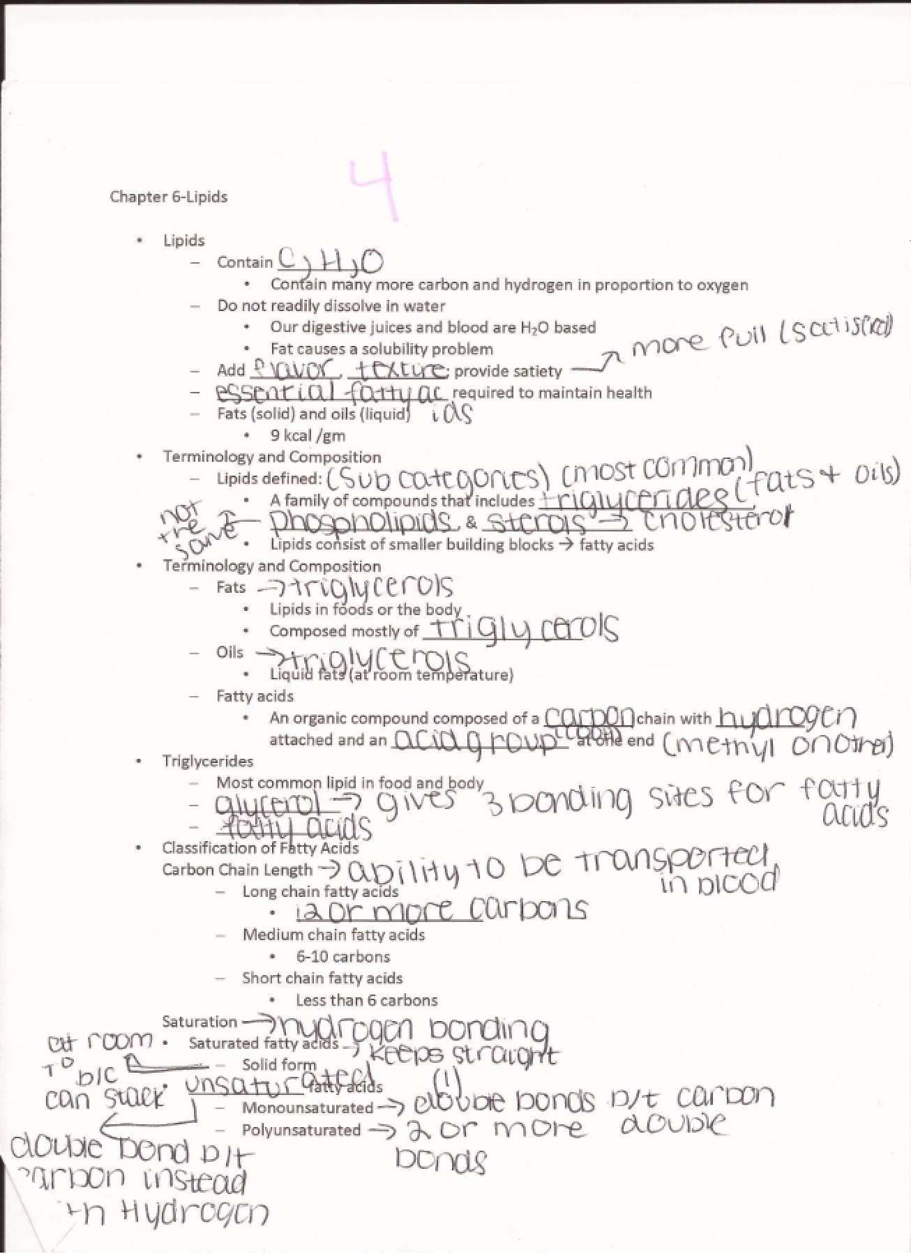 Nutrition Ch. 6