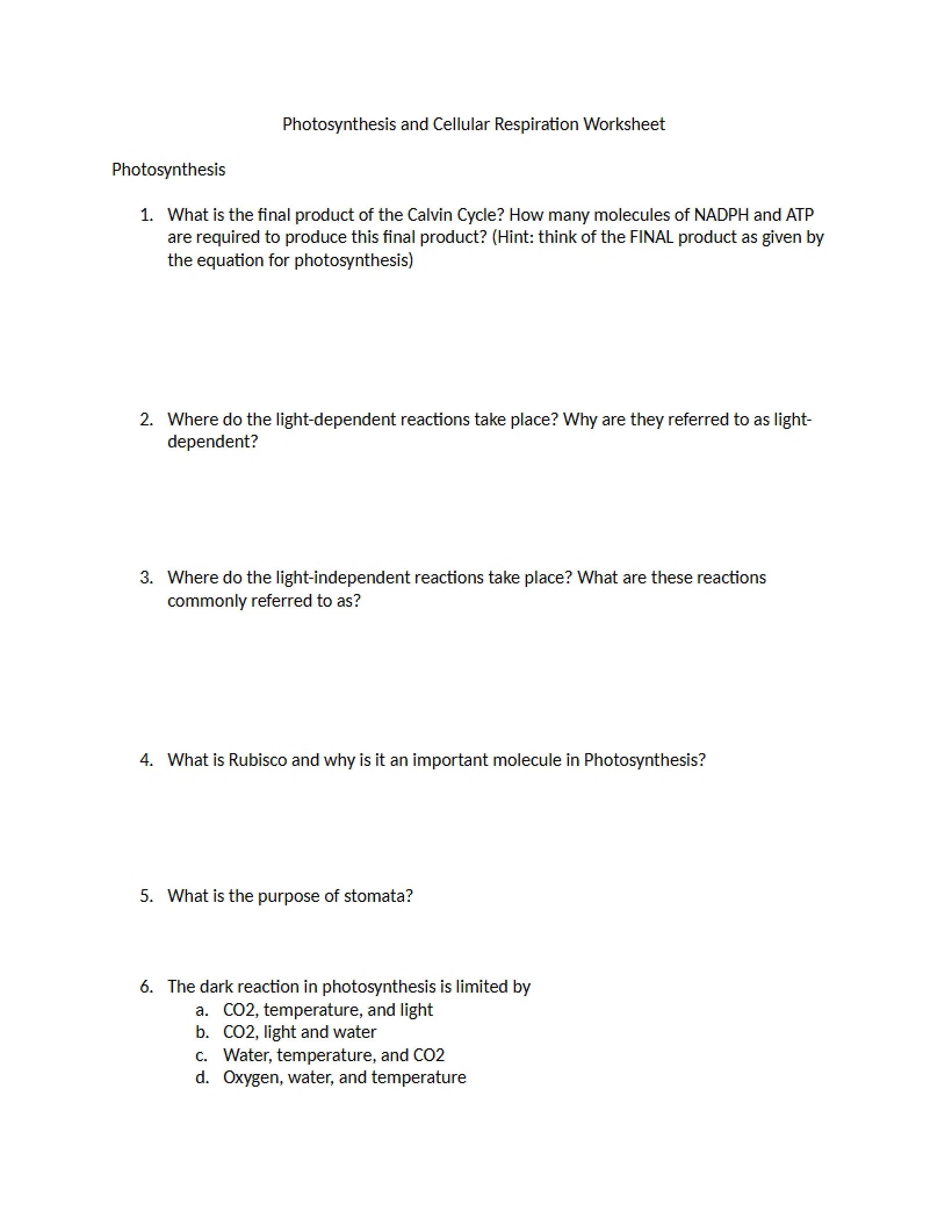Blank Photosynthesis and Respiration Sheet