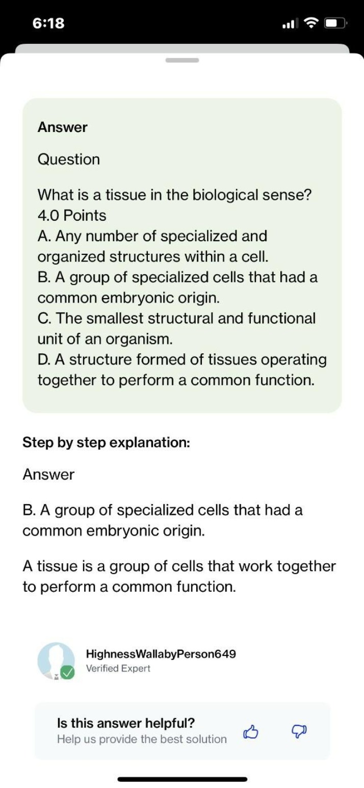 Tissues in Biology Explained