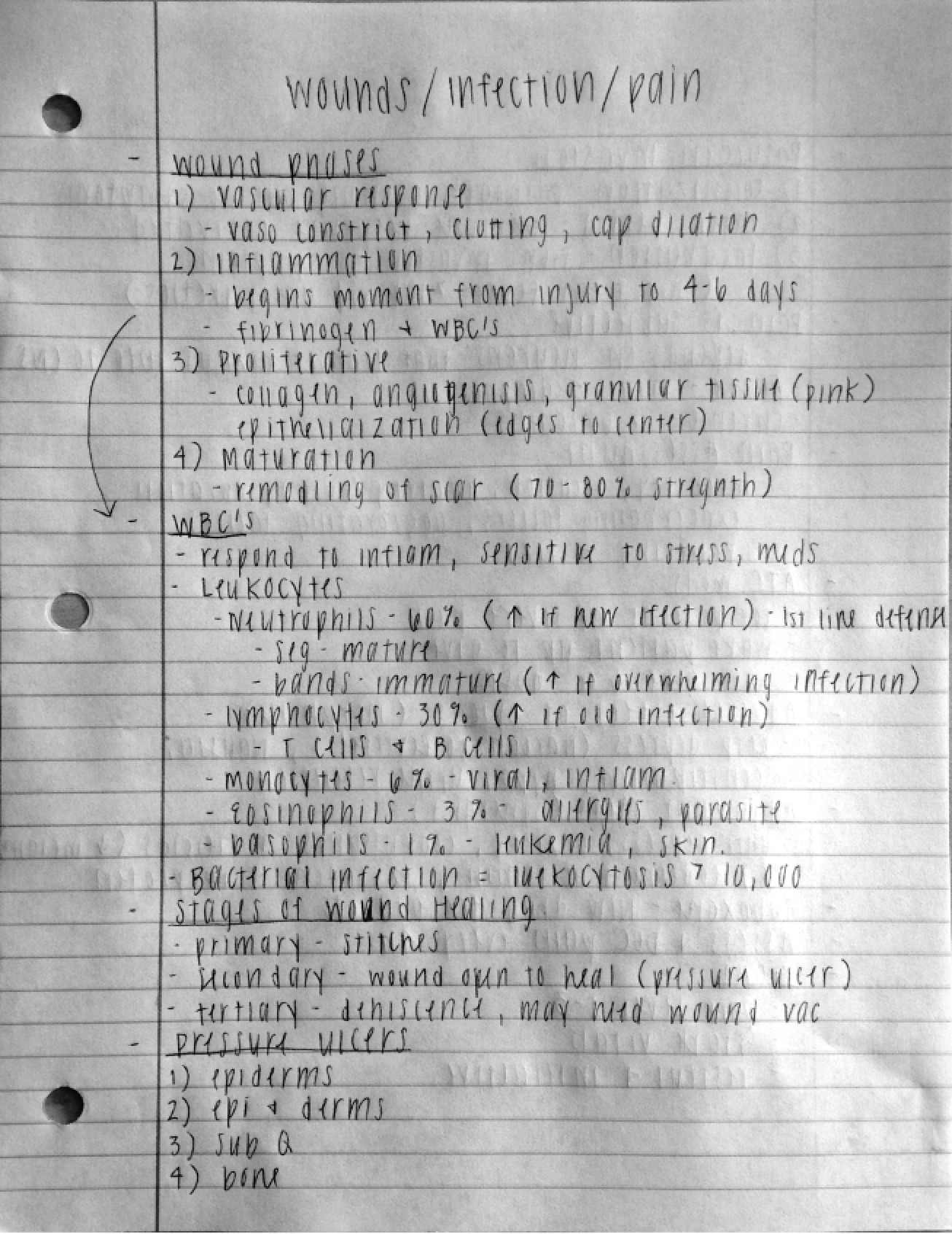 Pharmacology Course Lecture Notes