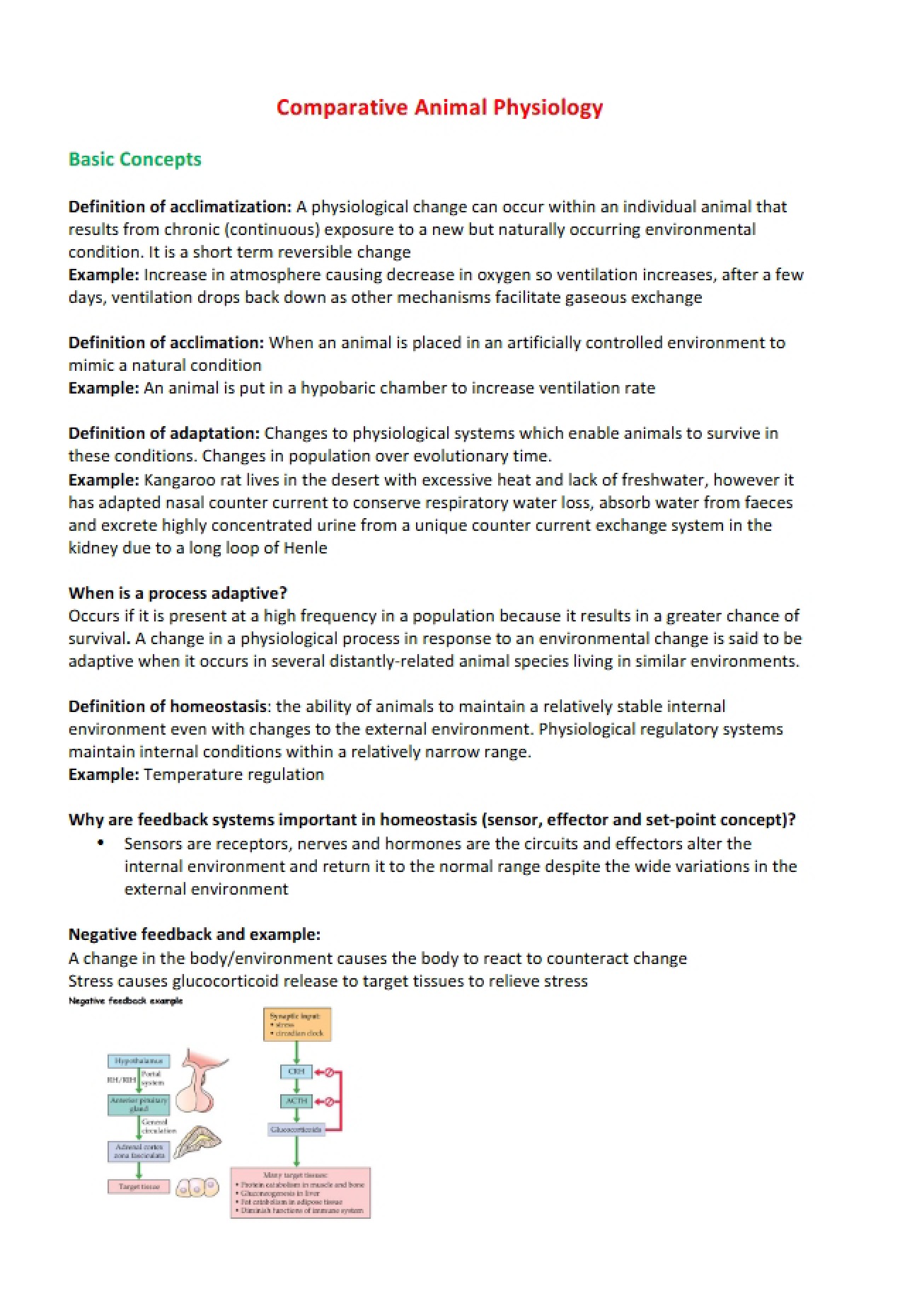 Comparative Animal Physiology Document III