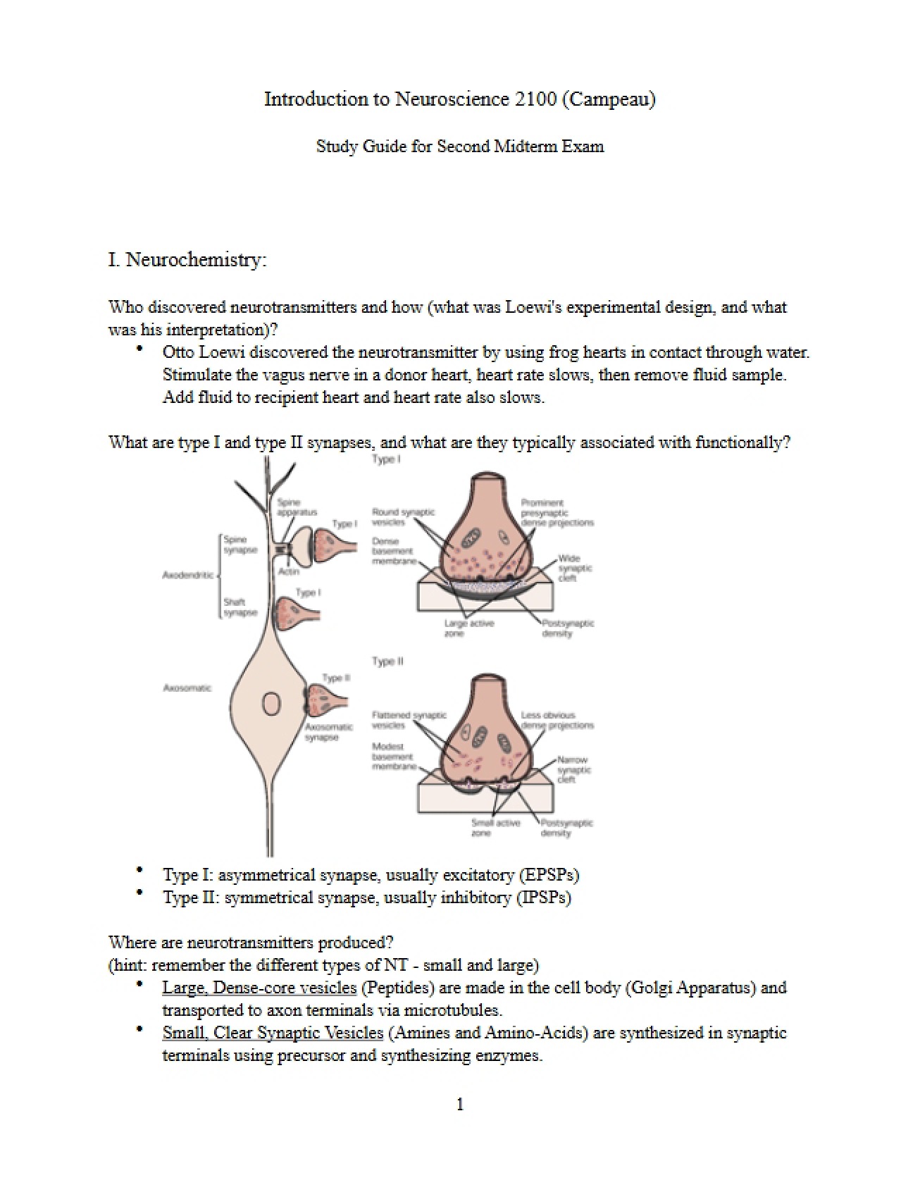 Study Guide for the Second Neuroscience Exam, Spring 2014
