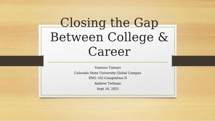 Bridging the Gap - A Guide to College-to-Career Success