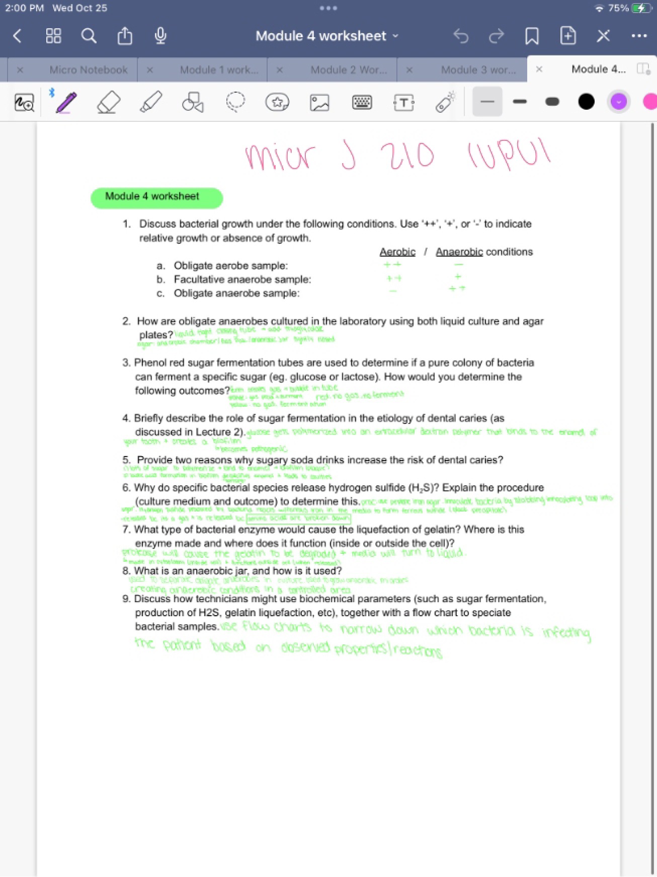 Practical Worksheet Four