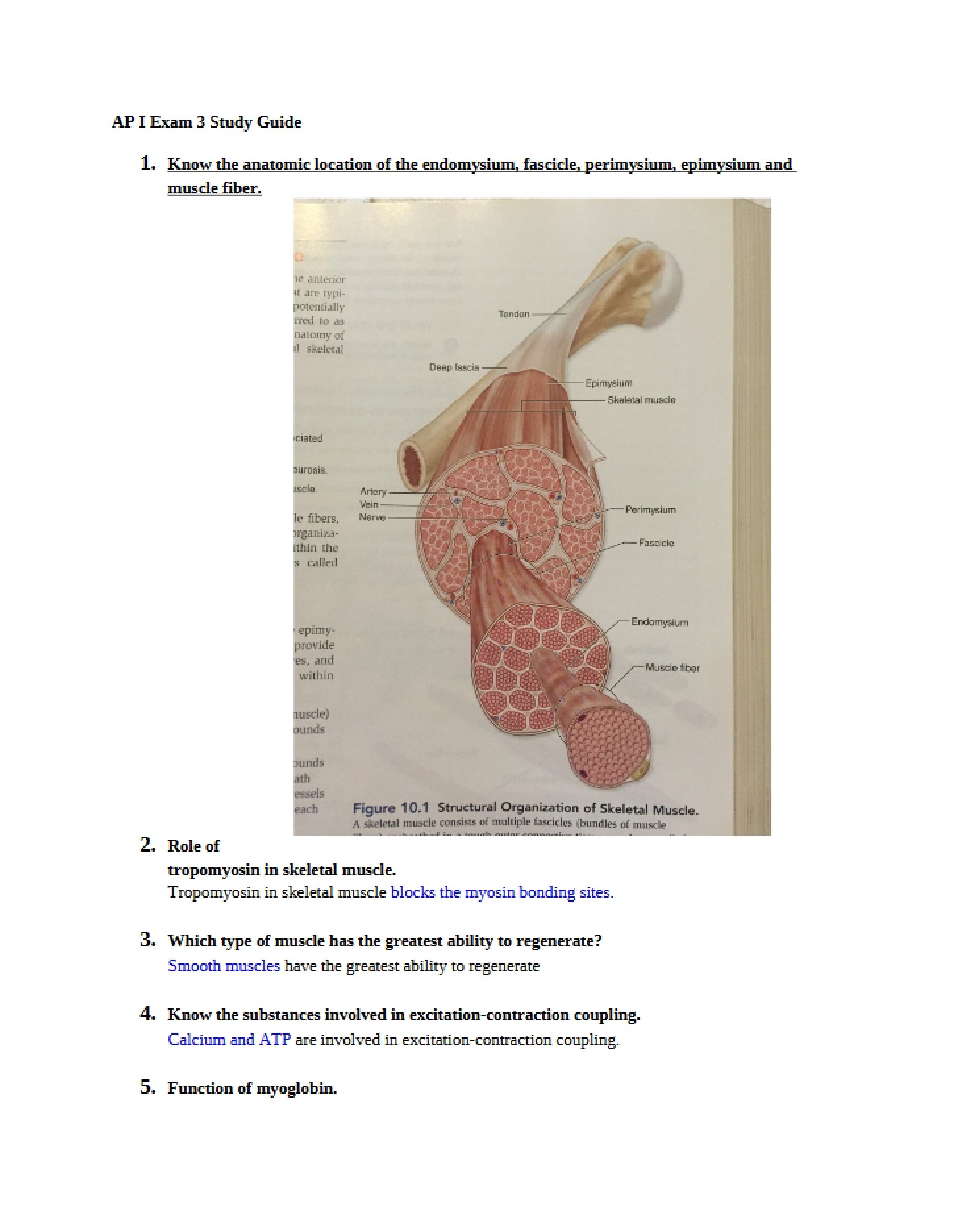 Guide for Exam 3