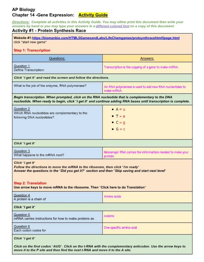 Mutation and Protein Synthesis Activity Guide