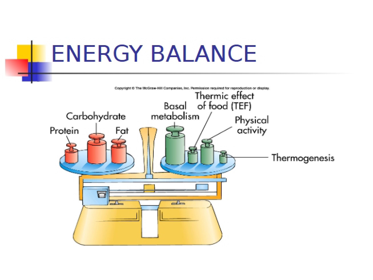 Concept of Energy in Nutrition