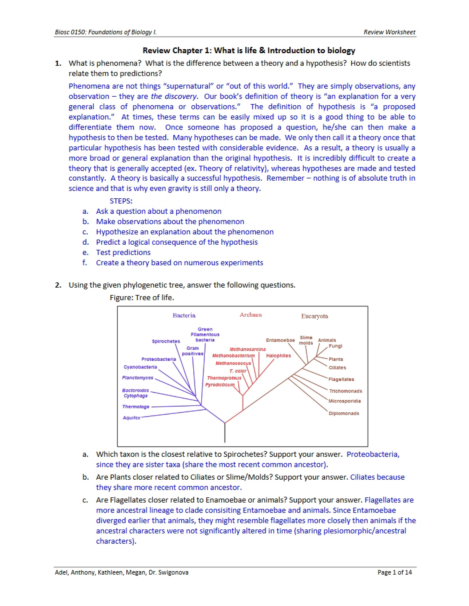 Worksheet for Review