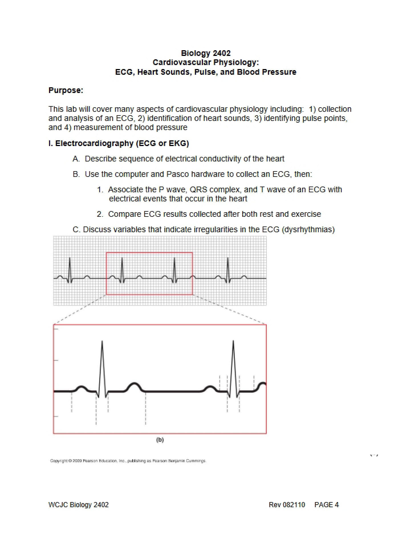 Blood Pressure, Pulse, ECG, and Heart Sounds