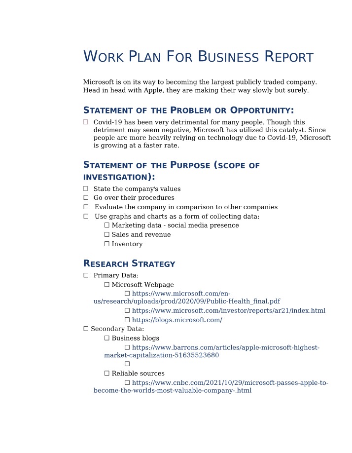 Business Report Work Plan