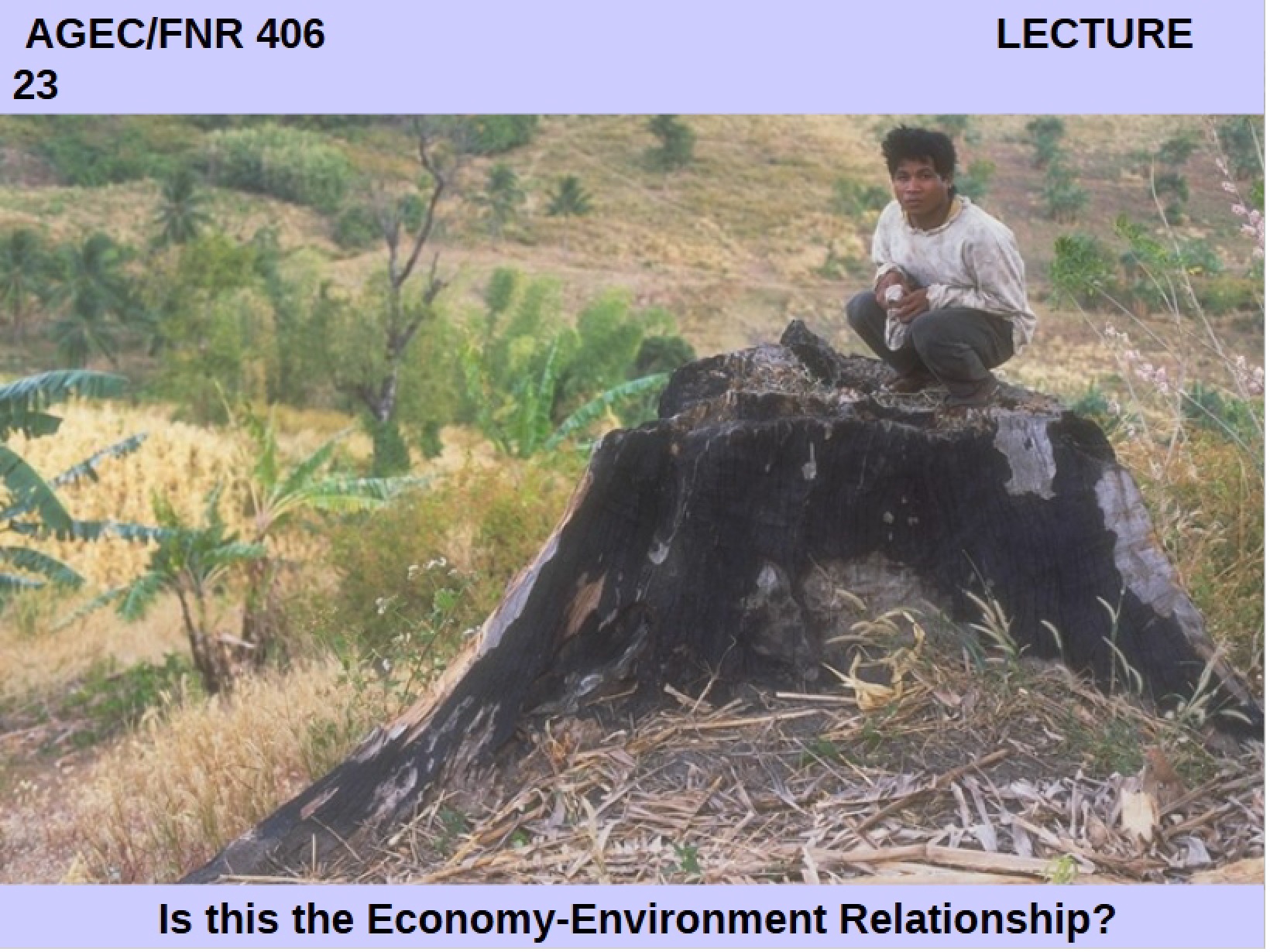 Environmental Economics Notes (3)