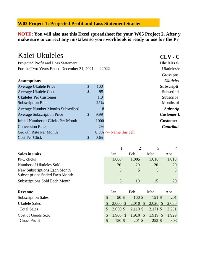 Profit and Loss Statement Starter - W03 Project 1