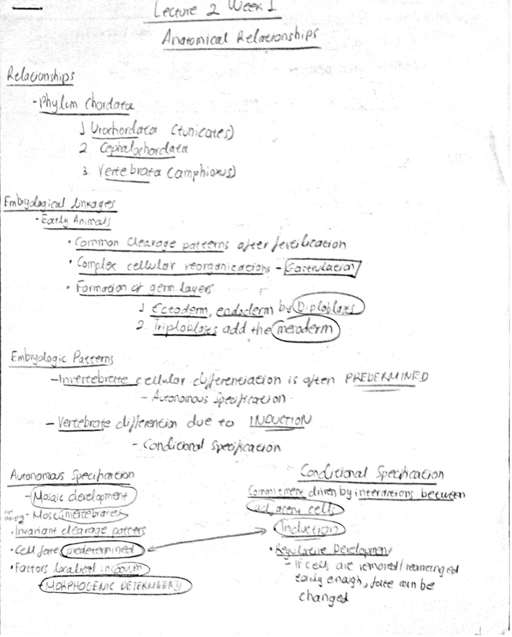Form Biology Notes