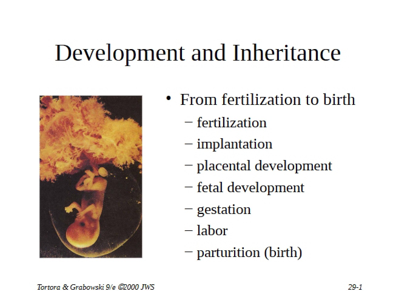 Inheritance and Development