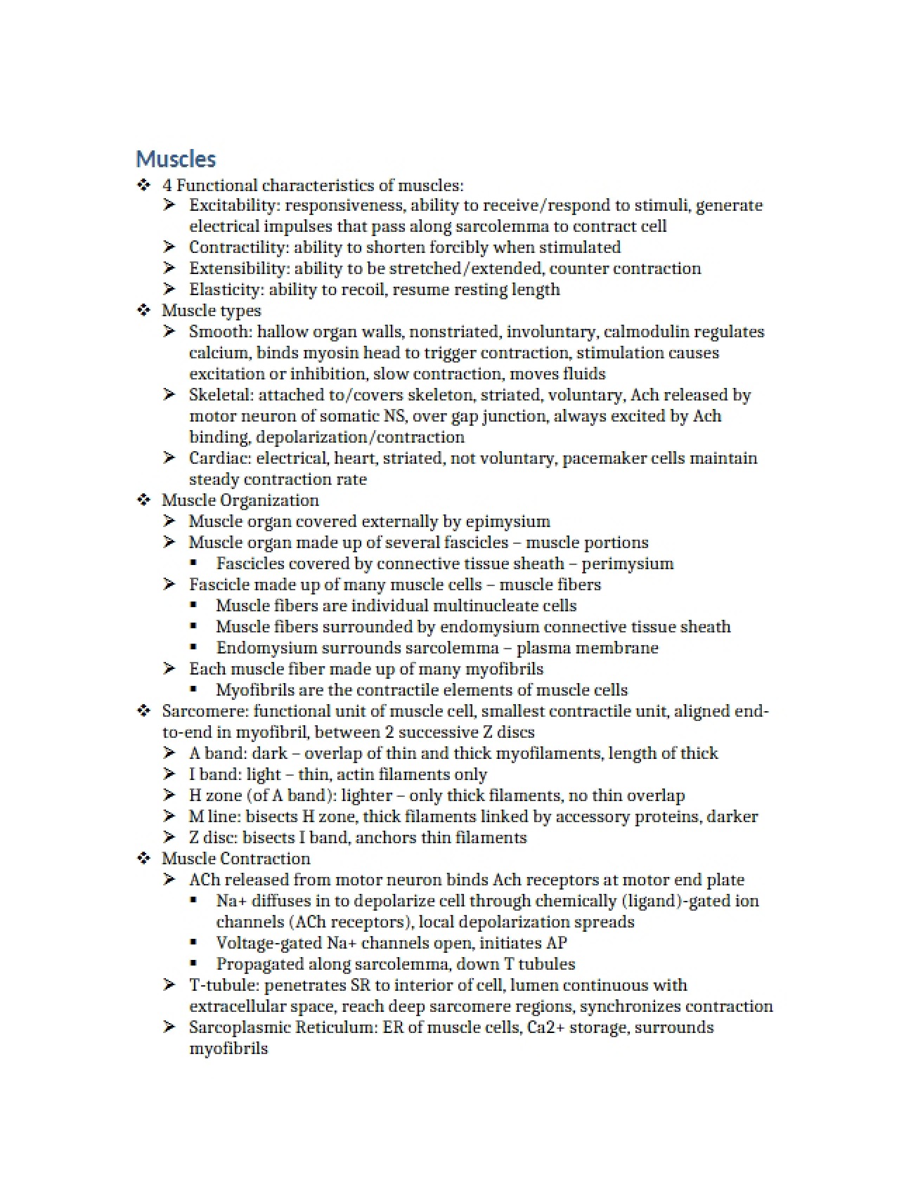 Physiology of Muscles