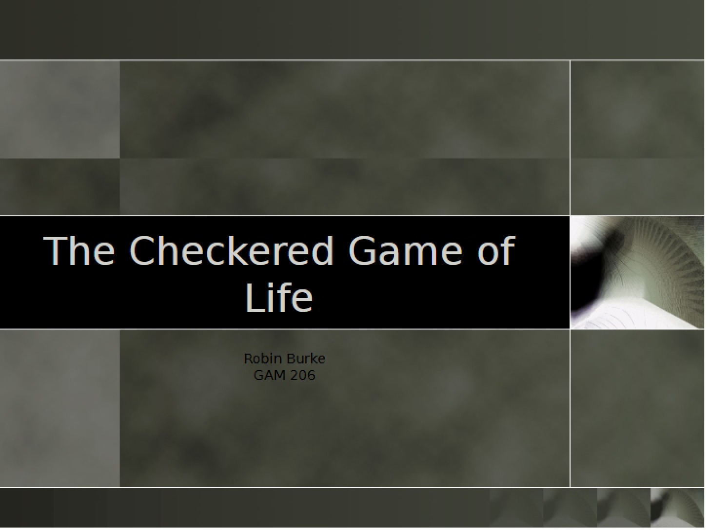 Checkered Life The Game