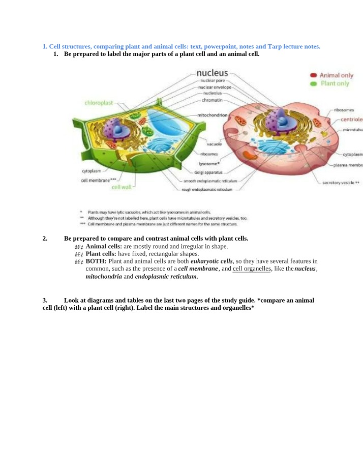 Plant vs Animal Cells - Structures and Functions