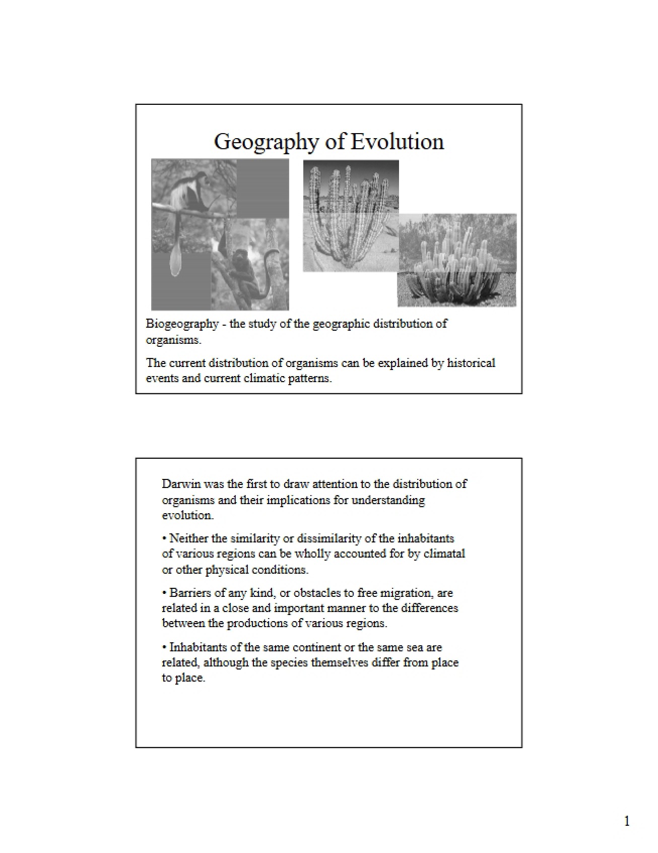 Evolutionary Geography