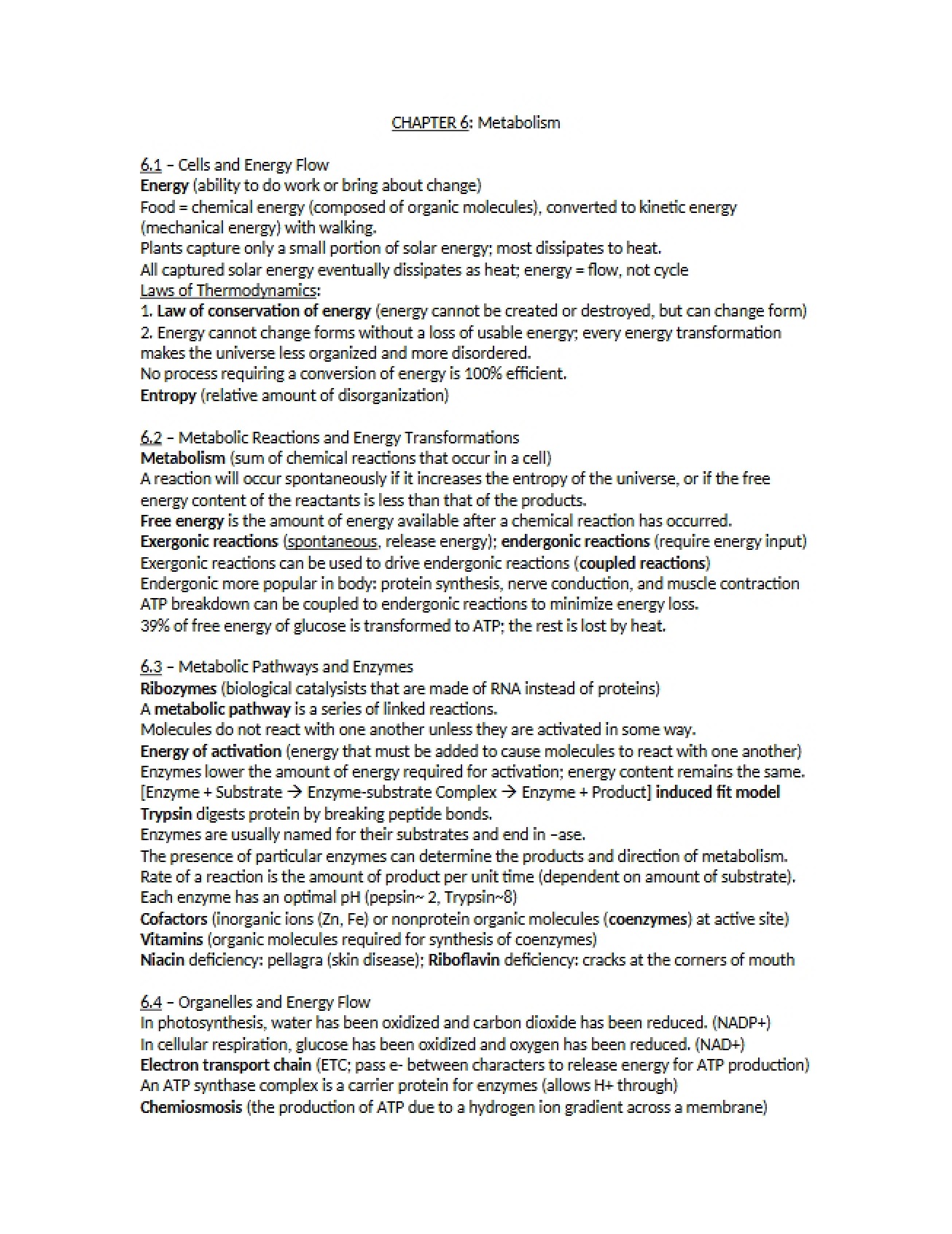 Metabolism Chapter 6