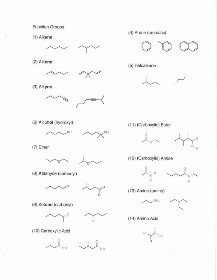 Function Groups - Quiz and Study Sheet