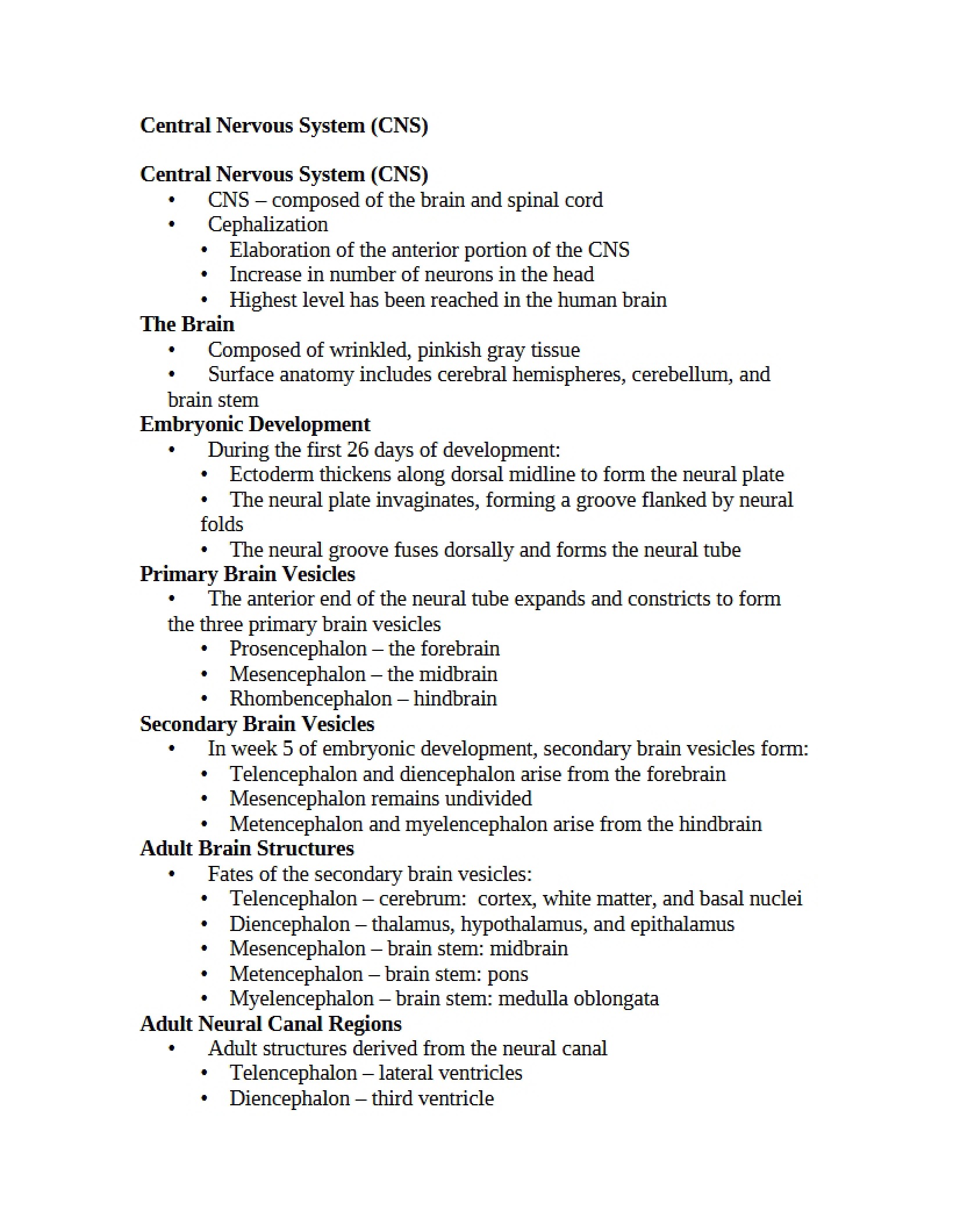 CNS Central Nervous System