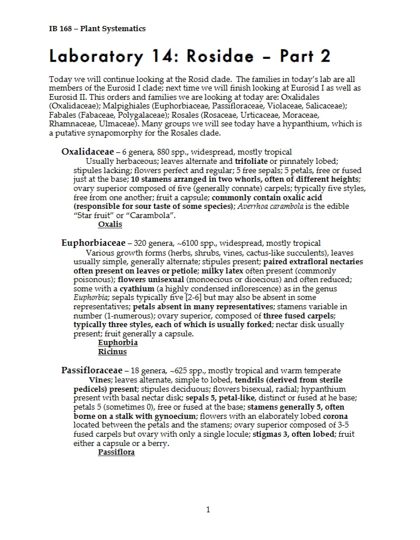 Rosidae Part Two Lab Fourteen