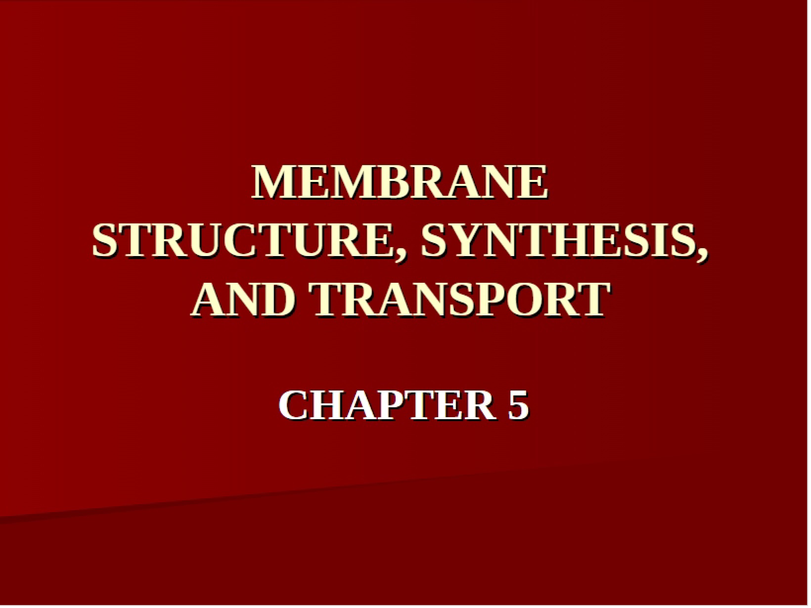 Chapter Five