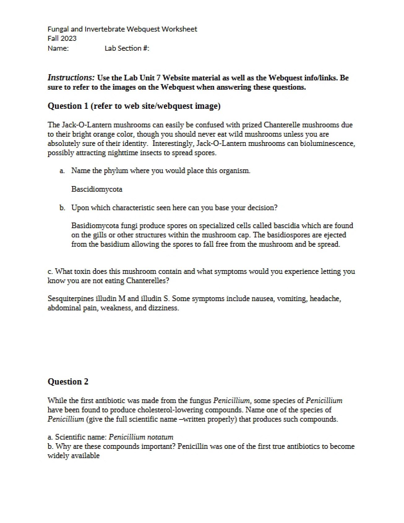 Worksheet for Fungal and Invertebrate Webquest