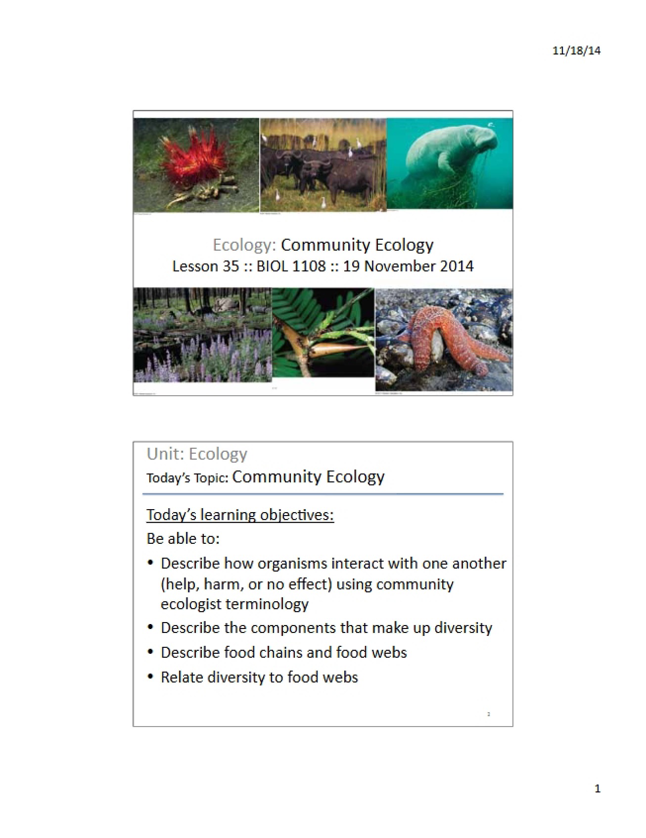 Community Ecology 2