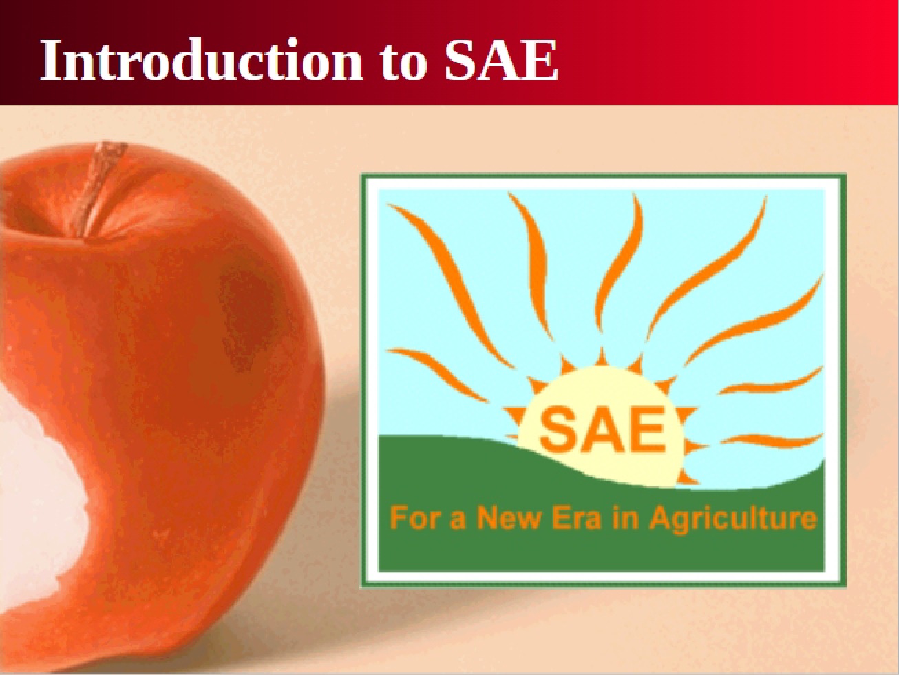 SAE Intro