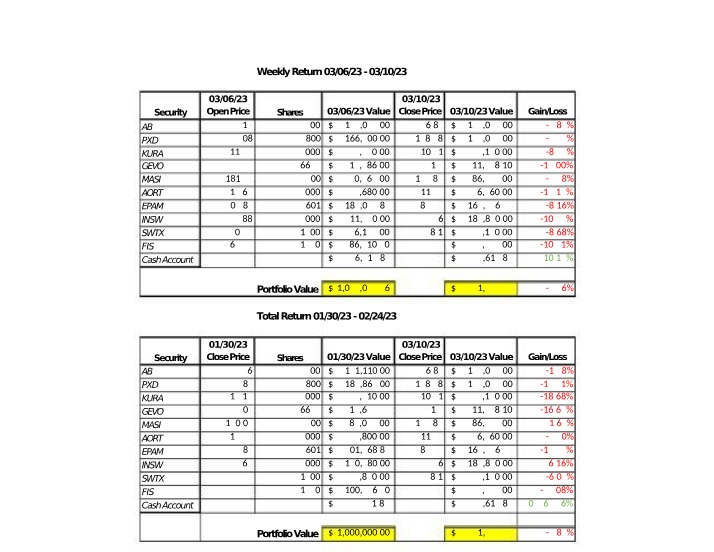 Weekly Portfolio Return and Gain-Loss - Selected Stocks