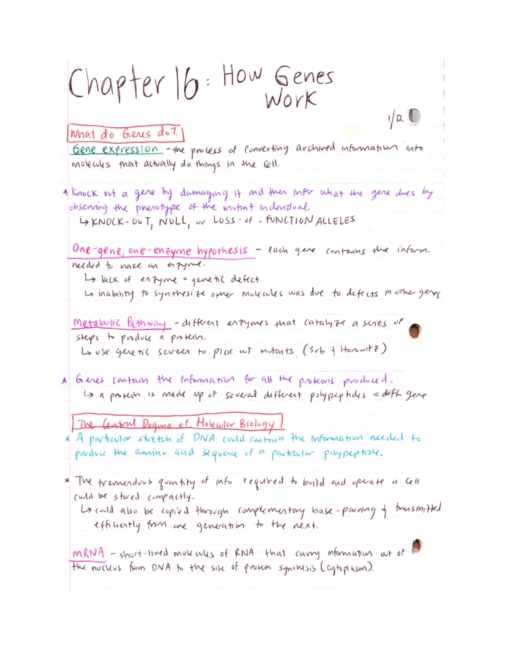 Study Notes
