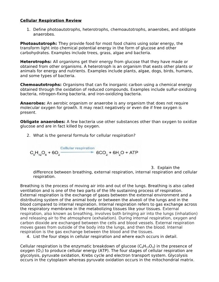 Review of Cellular Respiration
